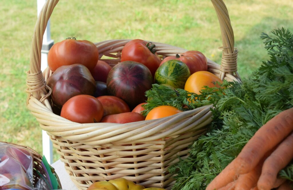 Basket of vegetables